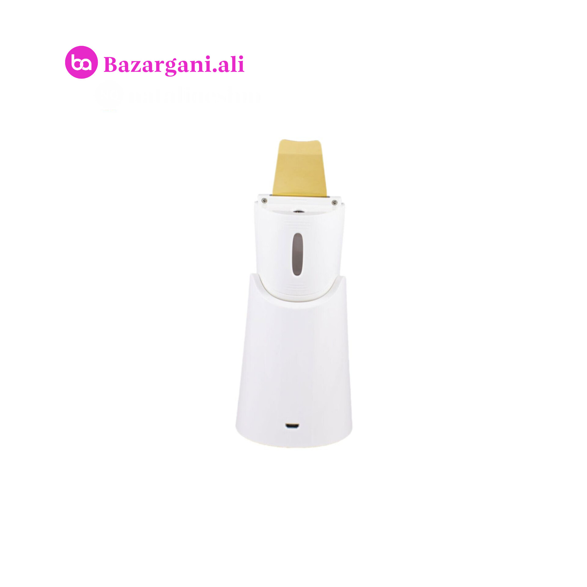 اتو صورت بخار دار تیغه گلد